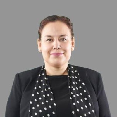 Almanya 2025 Seçimleri ve Görece Türkiye İzdüşümleri